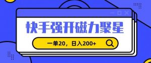 信息差赚钱项目，快手强开磁力聚星，一单20，日入200+【揭秘】-阳知网创资源库