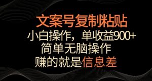 文案号掘金,简单复制粘贴,小白操作,单作品收益900+【揭秘】-阳知网创资源库