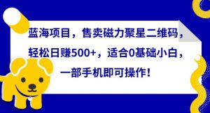 蓝海项目,售卖磁力聚星二维码,轻松日赚500+,适合0基础小白,一部手机即可操作【揭秘】-阳知网创资源库