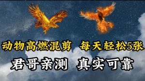 动物超燃混剪，每天轻松5张，剪辑简单大家爱看【揭秘】-阳知网创资源库