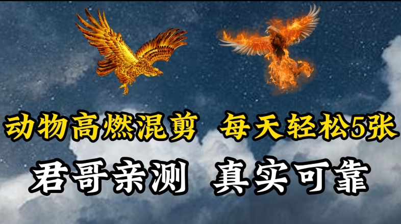 动物超燃混剪，每天轻松5张，剪辑简单大家爱看【揭秘】-阳知网创资源库