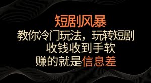 短剧风暴,教你冷门玩法,玩转短剧,收钱收到手软【揭秘】-阳知网创资源库