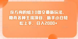 反方向的蛙3.0图文最新玩法，隐身各种主流项目，新手小白轻松上手，日入2000+【揭秘】-阳知网创资源库