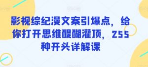 影视综纪漫文案引爆点,给你打开思维醍醐灌顶,255种开头详解课-阳知网创资源库
