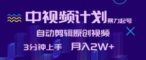 中视频计划暴力起号,自动剪辑原创视频,3分钟上手,月入2W+【揭秘】-阳知网创资源库