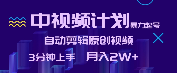 中视频计划暴力起号,自动剪辑原创视频,3分钟上手,月入2W+【揭秘】-阳知网创资源库