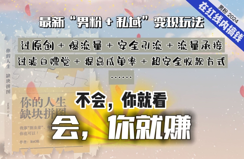 2024，“男粉+私域”还是最耐造、最赚、最轻松、最愉快的变现方式【揭秘】-阳知网创资源库