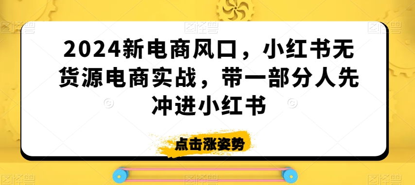 2024新电商风口,小红书无货源电商实战,带一部分人先冲进小红书-阳知网创资源库