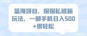 蓝海项目,探探私域新玩法,一部手机日入500+很轻松【揭秘】-阳知网创资源库
