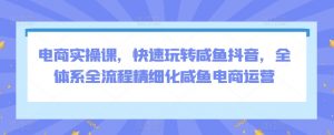 电商实操课，快速玩转咸鱼抖音，全体系全流程精细化咸鱼电商运营-阳知网创资源库