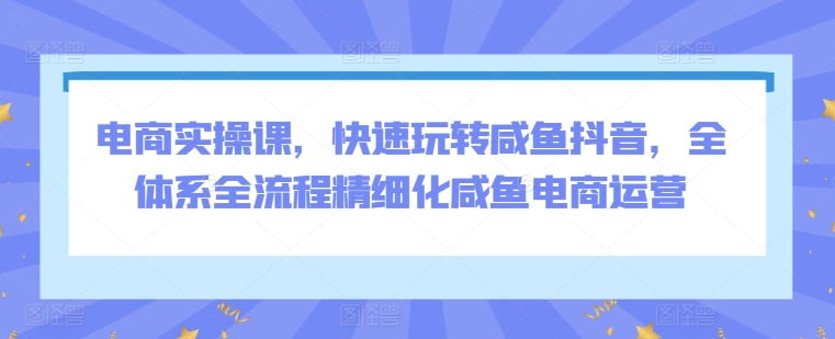 电商实操课，快速玩转咸鱼抖音，全体系全流程精细化咸鱼电商运营-阳知网创资源库