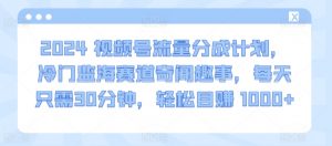 2024视频号流量分成计划，冷门监海赛道奇闻趣事，每天只需30分钟，轻松目赚 1000+【揭秘】-阳知网创资源库