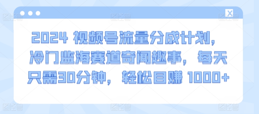 2024视频号流量分成计划,冷门监海赛道奇闻趣事,每天只需30分钟,轻松目赚 1000+【揭秘】-阳知网创资源库