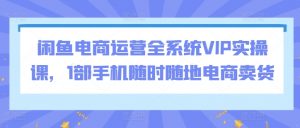 闲鱼电商运营全系统VIP实操课，1部手机随时随地电商卖货-阳知网创资源库
