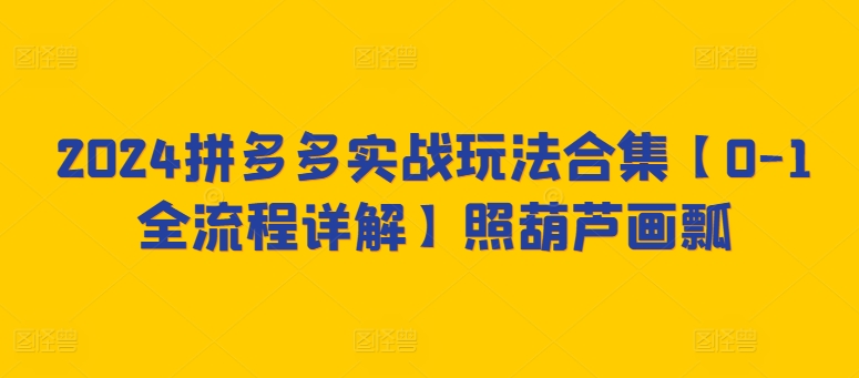 2024拼多多实战玩法合集【0-1全流程详解】照葫芦画瓢-阳知网创资源库