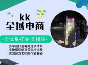 KK全域电商,全体系打造实操课,多平台打造电商逻辑体系-阳知网创资源库