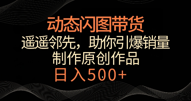 动态闪图带货，遥遥领先，冷门玩法，助你轻松引爆销量，日赚500+【揭秘】-阳知网创资源库