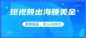 短视频出海赚美金，复制粘贴批量操作，小白轻松掌握，月入4500美刀【揭秘】-阳知网创资源库