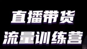 直播带货流量训练营，小白主播必学直播课-阳知网创资源库