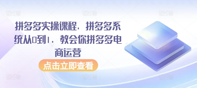 拼多多实操课程,拼多多系统从0到1,教会你拼多多电商运营-阳知网创资源库