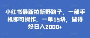 小红书最新拉新野路子,一部手机即可操作,一单15块,做得好日入2000+【揭秘】-阳知网创资源库