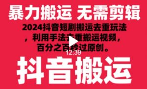 2024最新抖音搬运技术,抖音短剧视频去重,手法搬运,利用工具去重,达到秒过原创的效果【揭秘】-阳知网创资源库
