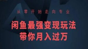 从零开始走向专业,闲鱼最强变现玩法带你月入过万-阳知网创资源库