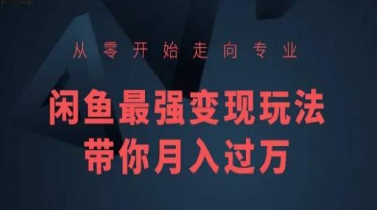 从零开始走向专业,闲鱼最强变现玩法带你月入过万-阳知网创资源库