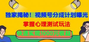 独家揭秘!视频号分成计划曝光,掌握心理测试玩法,快速实现1000元收益【揭秘】-阳知网创资源库