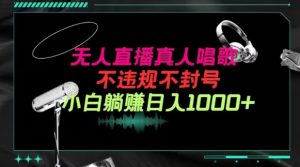 抖音24小时无人直播音乐,不违规,不封号纯撸音浪,小白实操当天日入1000+【揭秘】-阳知网创资源库