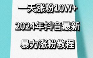 抖音最新暴力涨粉教程,视频去重,一天涨粉10w+,效果太暴力了,刷新你们的认知【揭秘】-阳知网创资源库