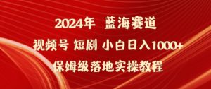 2024年视频号短剧新玩法小白日入1000+保姆级落地实操教程【揭秘】-阳知网创资源库