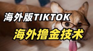抖音海外版tiktok撸金技术,这个风口行业,赚钱真的不难【揭秘】-阳知网创资源库