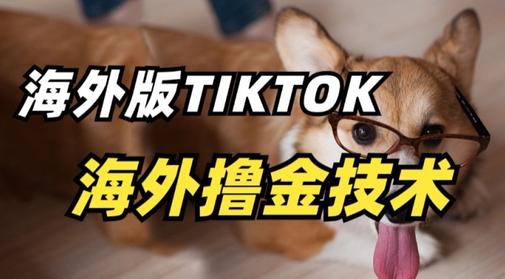 抖音海外版tiktok撸金技术，这个风口行业，赚钱真的不难【揭秘】-阳知网创资源库