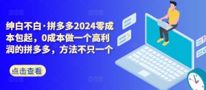 拼多多2024零成本包起，0成本做一个高利润的拼多多，方法不只一个-阳知网创资源库