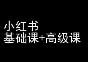 小红书基础课+高级课-小红书运营教程-阳知网创资源库
