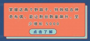 掌握这两个野路子,特效结合神奇布偶,能让粉丝数量飙升,至少增长 5000【揭秘】-阳知网创资源库