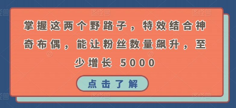 掌握这两个野路子,特效结合神奇布偶,能让粉丝数量飙升,至少增长 5000【揭秘】-阳知网创资源库