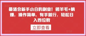 最适合新手小白的副业!薅羊毛+躺赚,操作简单,有手就行,轻松日入四位数【揭秘】-阳知网创资源库