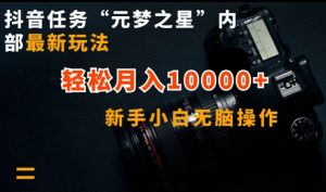 抖音任务“元梦之星”内部最新玩法，新手小白无脑操作，轻松月入10000+【揭秘】-阳知网创资源库