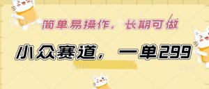 小众赛道,一单299.简单易操作,长期可做【揭秘】-阳知网创资源库