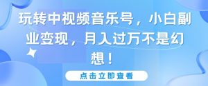 玩转中视频音乐号，小白副业变现，月入过万不是幻想【揭秘】-阳知网创资源库