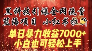 蓝海项目!黑科技引爆全网流量小红书拉新,单日暴力收益7000+,小白也能轻松上手【揭秘】-阳知网创资源库