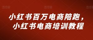 小红书百万电商陪跑，小红书电商培训教程-阳知网创资源库