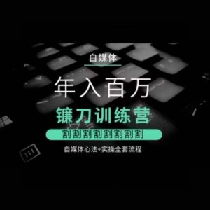 自媒体年入百万镰刀训练营,割割割割割割割割,自媒体心法+实操全套流程-阳知网创资源库