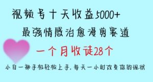 十天收益5000+，多平台捞金，视频号情感治愈漫剪，一个月收徒28个，小白一部手机轻松上手【揭秘】-阳知网创资源库