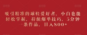 吸引精准的球鞋爱好者，小白也能轻松掌握，持续爆单技巧，5分钟一条作品，日入800+【揭秘】-阳知网创资源库