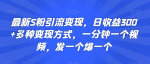 最新S粉引流变现,日收益300+多种变现方式,一分钟一个视频,发一个爆一个【揭秘】-阳知网创资源库