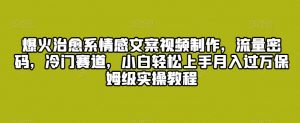 爆火治愈系情感文案视频制作,流量密码,冷门赛道,小白轻松上手月入过万保姆级实操教程【揭秘】-阳知网创资源库