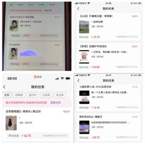 2024年3月最新,快手磁力聚星全流程实操教学,8台手机日均收益稳定100~200元【揭秘】-阳知网创资源库